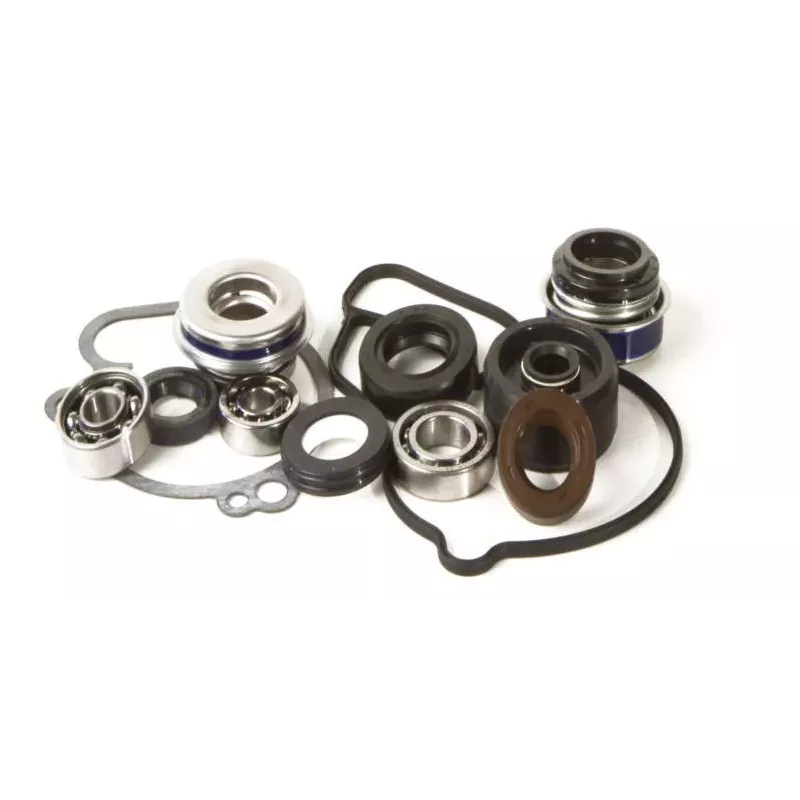 kit reparation pompe a eau 660 RAPTOR 01-05 69.90