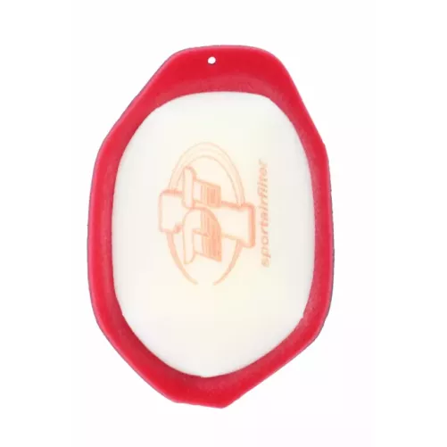 filtre à air DT1 STD 450 KXF 24-25, 250 KXF 25