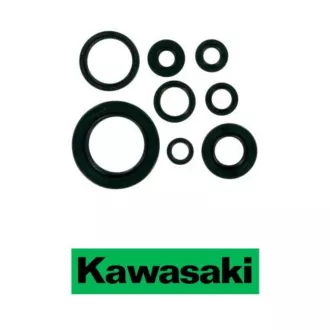 Spy KAWASAKI moteur 2T